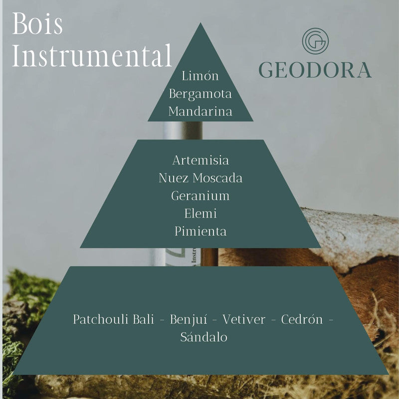 Piramide Olfativa Perfume Bois Instrumental de Geodora