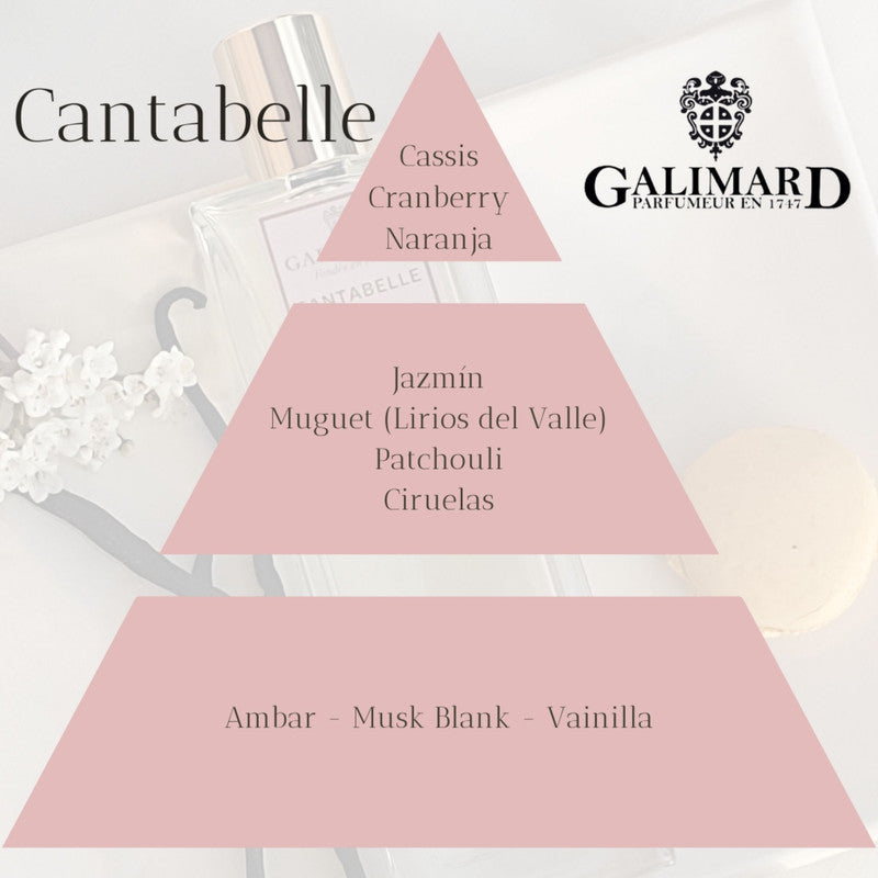 Piramide Olfativa Perfume Cantabelle de Galimard