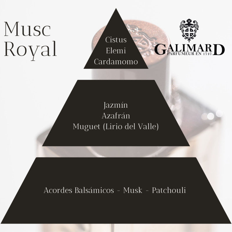 Piramide olfativa de perfume Musc Royal de coleccion privada de galimard