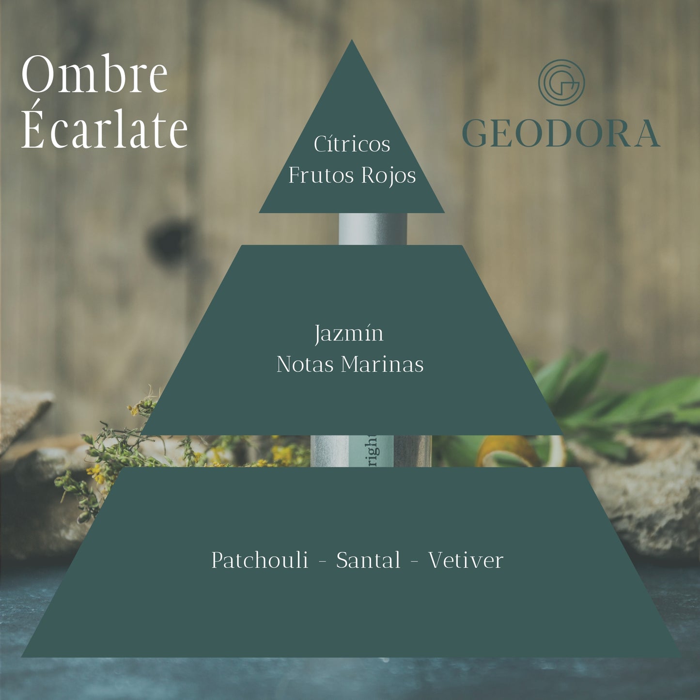 Échantillon / Decant 3 ml Geodora
