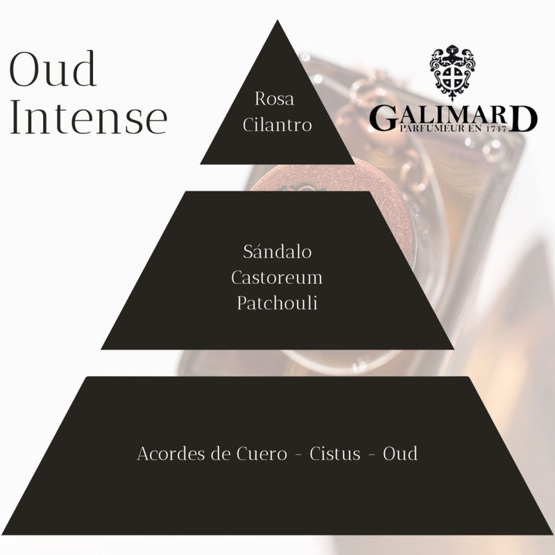 Piramide olfativa de perfume Oud Intense de coleccion privada de galimard