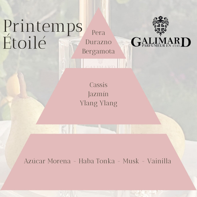 Piramide Olfativa Perfume Printemps Etoile de Galimard