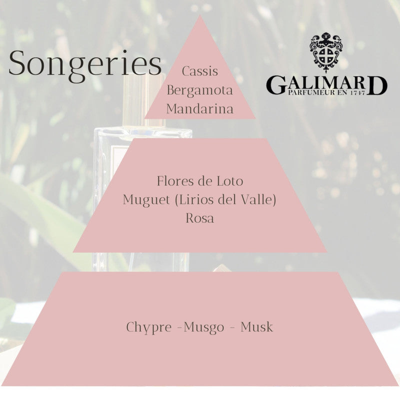 Piramide Olfativa Perfume Songeries de Galimard