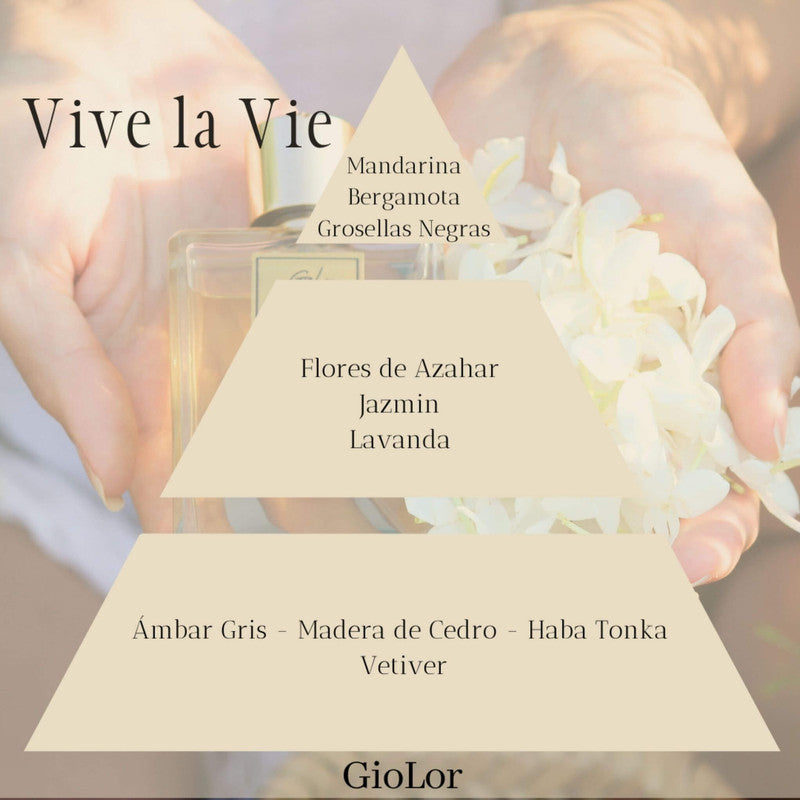 Piramide olfativa de perfume Vive la Vie de Giolor