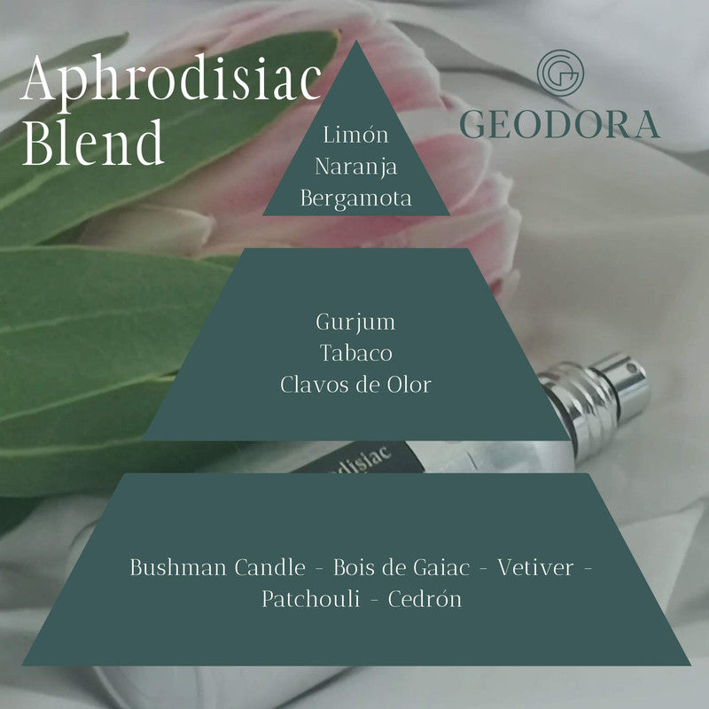 Piramide Olfativa Perfume Aphrodisiac Blend de Geodora