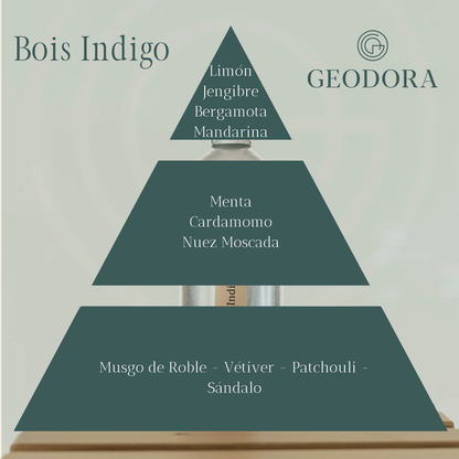 Piramide olfativa de perfume Bois Indigo de Geodora