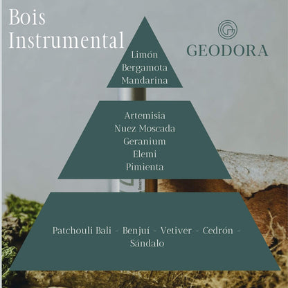 Piramide Olfativa Perfume Bois Instrumental de Geodora