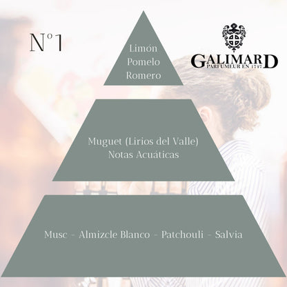 Piramide olfativa de perfume Numero 1 de Galimard