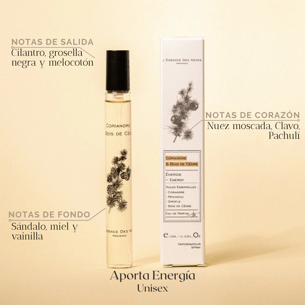 Travel 10ml — L'Essence des Notes