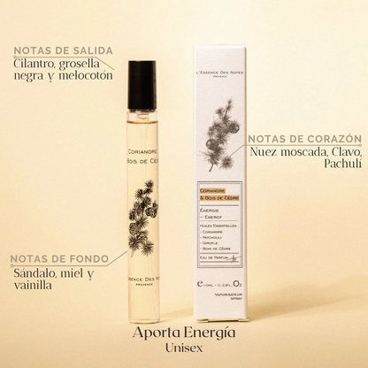 Travel 10ml — L'Essence des Notes