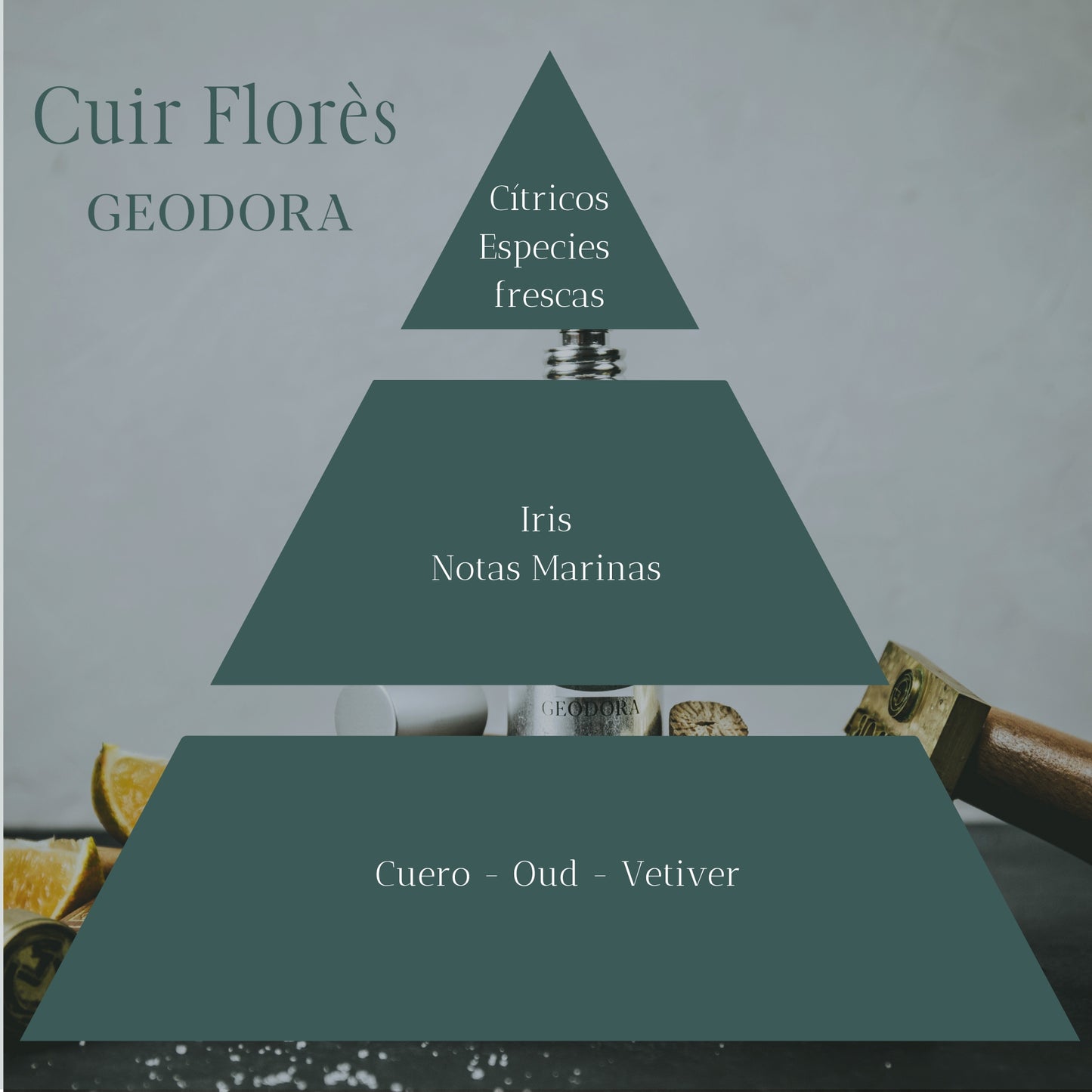 Cuir Florès de Geodora