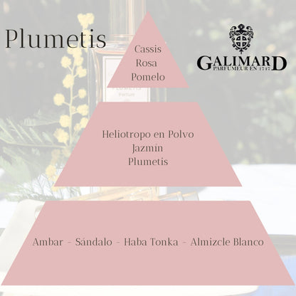 Piramide olfativa de perfume Plumetis de Galimard