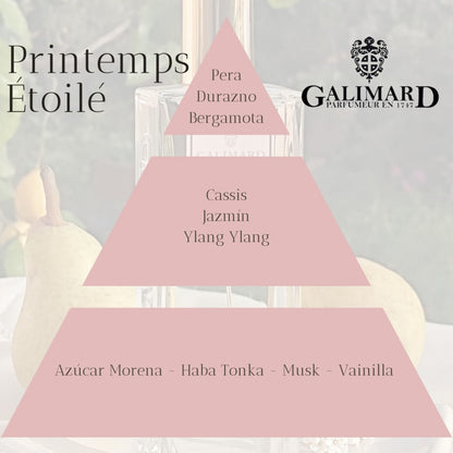 Piramide Olfativa Perfume Printemps Etoile de Galimard
