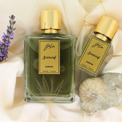 Perfume Sourcouf de Giolor en formato de 100 ml y 15 ml acostado junto a un fósil marino y lavanda