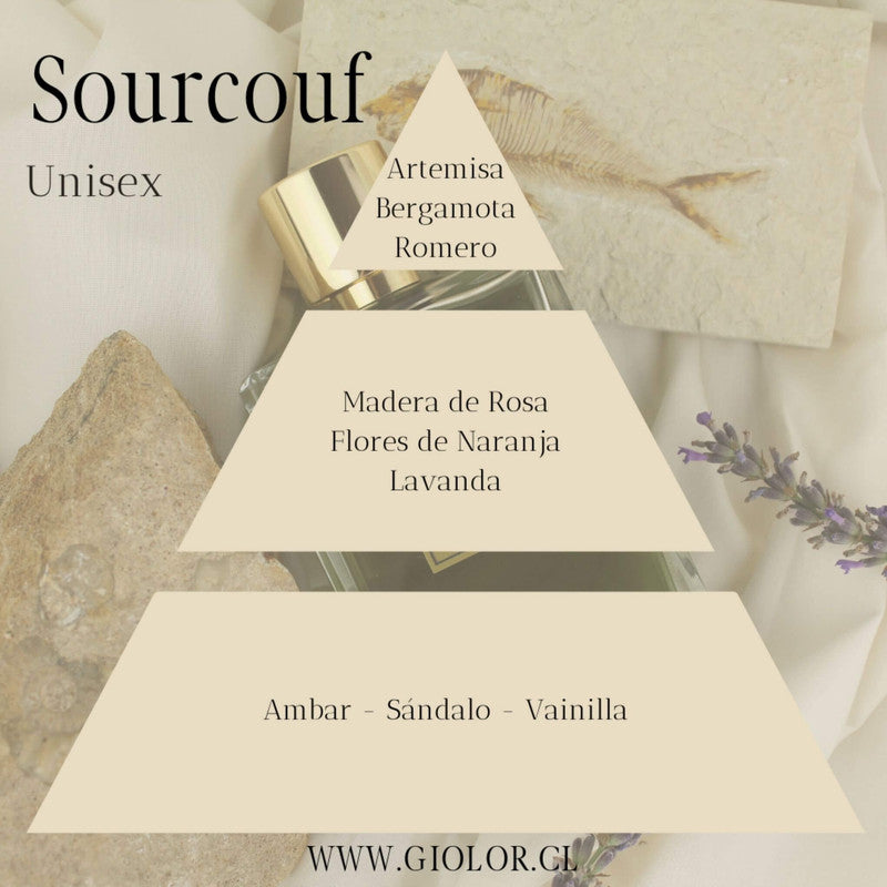 Piramide Olfativa Perfume Sourcouf de Giolor